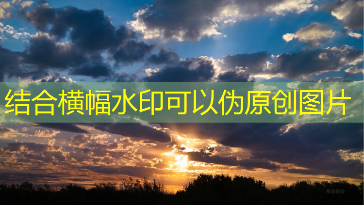 米乐：室内健身操兔子