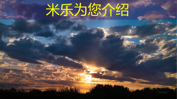 米乐m6官网登录入口：衡水学校塑胶跑道颜色