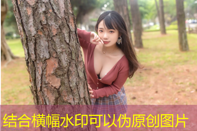 室内健身悬挂吊带